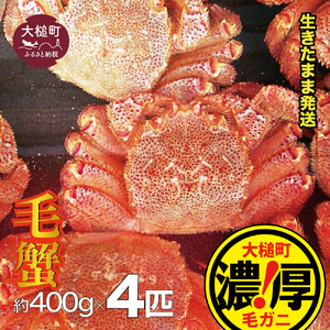 【期間限定2月～4月発送】【配送日指定不可】三陸産！活毛ガニセット 400g×4杯 天然 国産 冷蔵 三陸直送 濃厚 かに 蟹 カニ 毛ガニ 毛蟹 毛がに 毛かに 毛カニ ガニ 活かに 活蟹 活カニ かにみそ 贅沢 海鮮 魚介 ジャンボ カニ味噌 カニミソ 贅沢 活