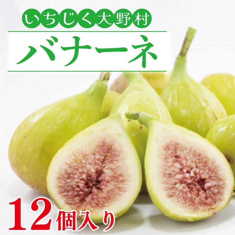 【ふるさと納税】【数量限定】【先行予約】【7月～9月発送】いちじく大野村 (バナーネ) 12個入 フルーツ　果物（KAE-4）