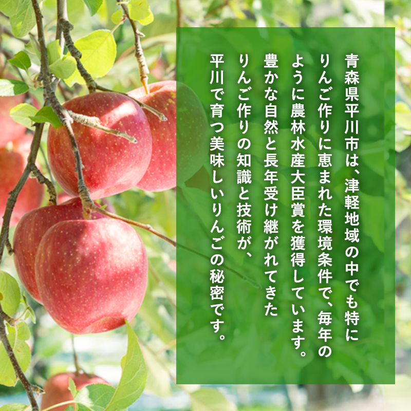 年明け  最高級「特選」糖度選別サンふじ 約3kg 【JA津軽みらい・平川市産・青森りんご・1月・2月】