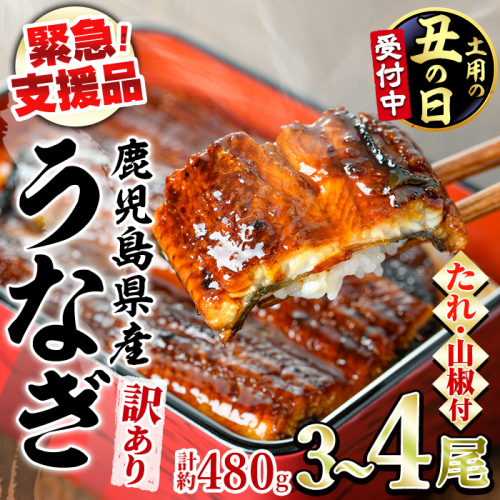 【0134350a-2607】＜土用丑の日までにお届け＞【緊急支援品】＜訳あり＞鰻の蒲焼き(無頭)(3～4尾・計約480g・タレ、山椒付) うなぎ ウナギ 鰻 国産 蒲焼 蒲焼き たれ 鹿児島 ふるさと 人気 支援 【アクアおおすみ】