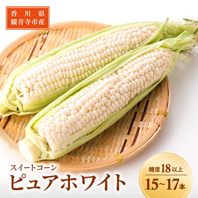 【ふるさと納税】《糖度18度以上》スイートコーン とうもろこし ピュアホワイト 15～17本 ※お届け：2024年6月中旬～7月上旬 野菜 　お届け：2025年6月中旬～7月上旬