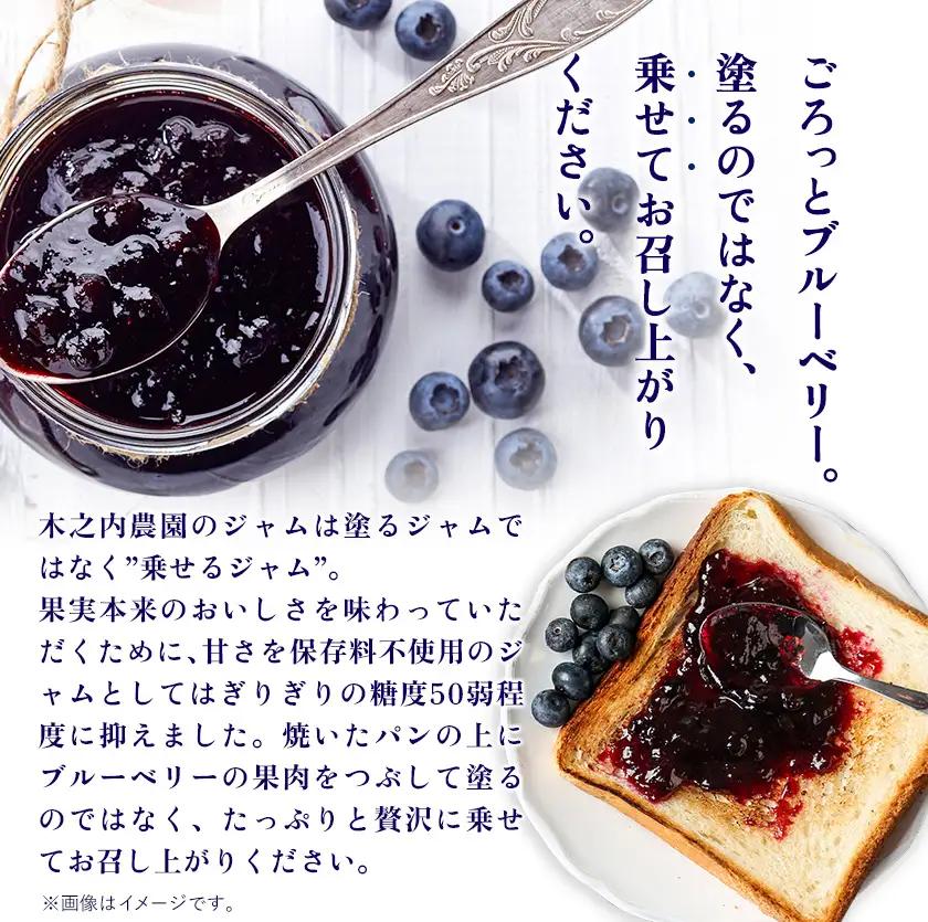 手作り いちご ジャム ブルーベリー ジャム 1kg×2本|木之内農園