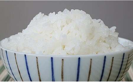 B7-06【3ヶ月連続お届け】長岡産新之助5kg（特別栽培米）