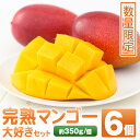 【ふるさと納税】＜先行予約受付中！＞肝付町産完熟マンゴー大好きセット(約350g×6個) 鹿児島 完熟 マンゴー フルーツ 国産 お取り寄せ ギフト 贈答 【SHOWAマンゴー農園】