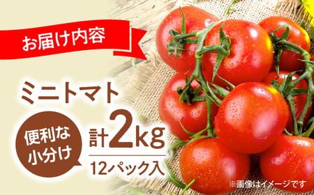 ミニトマト 約2kg（小分け12パック）＜ファゼンダ坂本＞[CGP002]