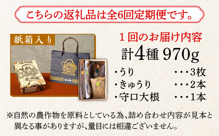 【全6回定期便】奈良漬 「琥珀漬」紙箱入り 970g【明治神宮ご奉献品】《築上町》【有限会社奈良漬さろん安部】奈良漬 奈良漬け ギフト 贈り物 贈答 [ABAE050]