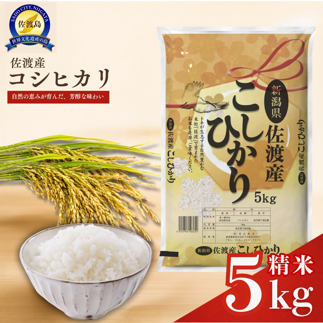 【ふるさと納税】米 コシヒカリ 5kg 佐渡産 白米 こしひかり お米 佐渡島 日本海のミネラル 潮風育ち ツヤと香り 常温保存 ごはん おにぎり お弁当 贈り物 新潟県 佐渡市