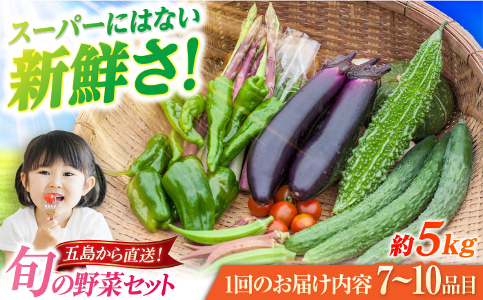 旬野菜セット7～10品目（五島列島産）5kg未満  五島市/やぁしゃ便 [PBG010]