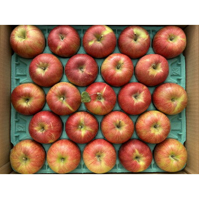 【ふるさと納税】シャキッ!甘～い!小玉 食べきりサイズ!シナノスイート 約10kg 信州りんご【1544371】