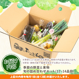 y360 《定期便・全12回》野菜と果物旬の詰め合わせ(12～14品目) 国産 九州産 鹿児島県産 野菜 やさい果物 くだもの フルーツ デザート 詰め合わせ お楽しみ セット 旬【鹿児島県経済農業協