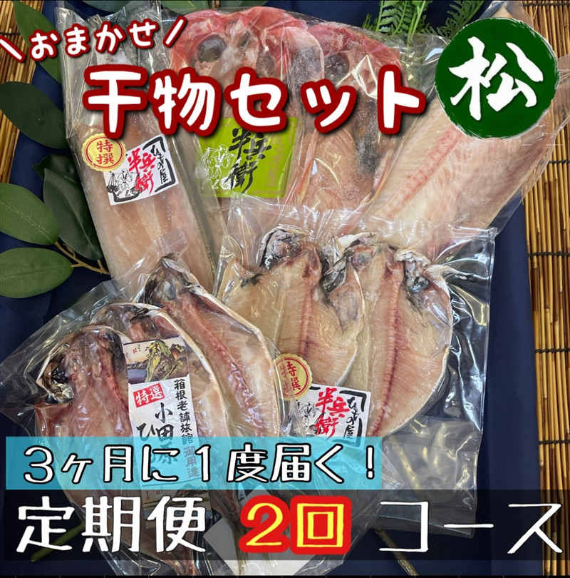 【3ヶ月に1回定期便2回】厳選！小田原の旬の干物セット 松【 まぐろや 神奈川県小田原市 】 142069_DQ330