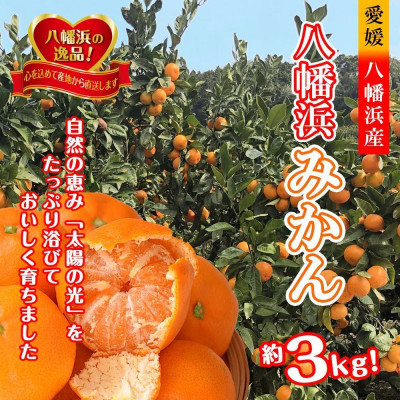 太陽の光・石垣の反射光・海面の反射光を浴びて育った「八幡浜みかん」約3キロ【B39−78】【配送不可地域：離島】【1625774】