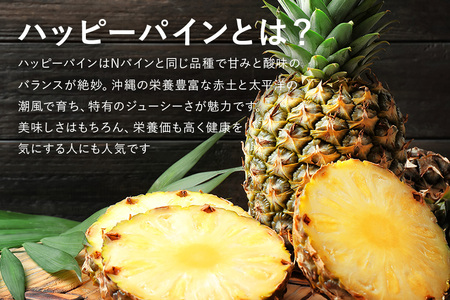 【2026年発送】ハッピーパイン1玉 沖縄県の南部では育たないと言われた幻のパイナップル パイナップル パイン フルーツ 果物 甘い 沖縄