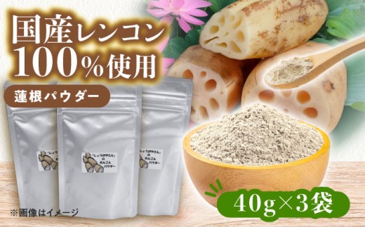 国産 れんこんパウダー 3袋  レンコン 調味料 野菜 愛西市 / しょうがやさん 【配達不可：離島】 [AEAO012]