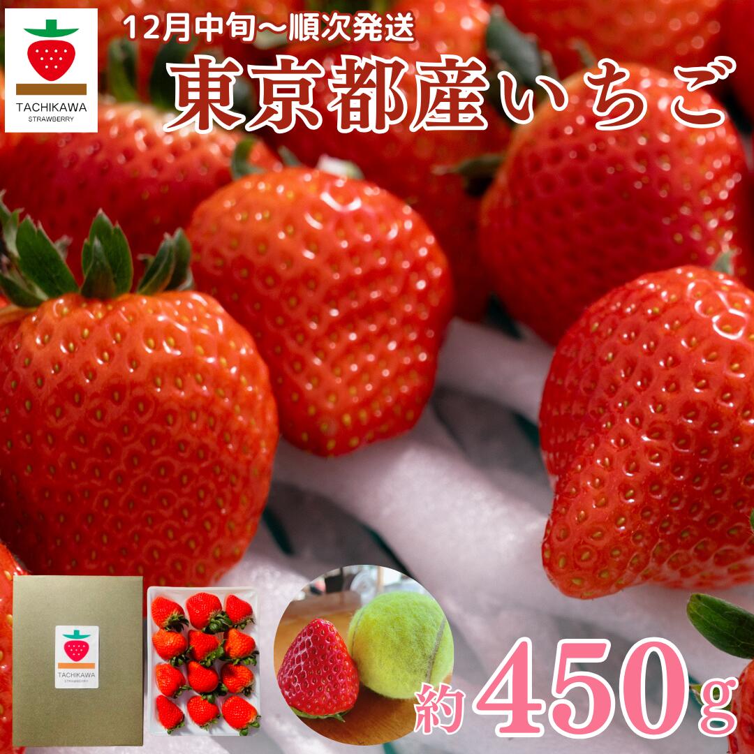 【ふるさと納税】特選 希少 いちご 立川いちご 東京産 450g 大粒