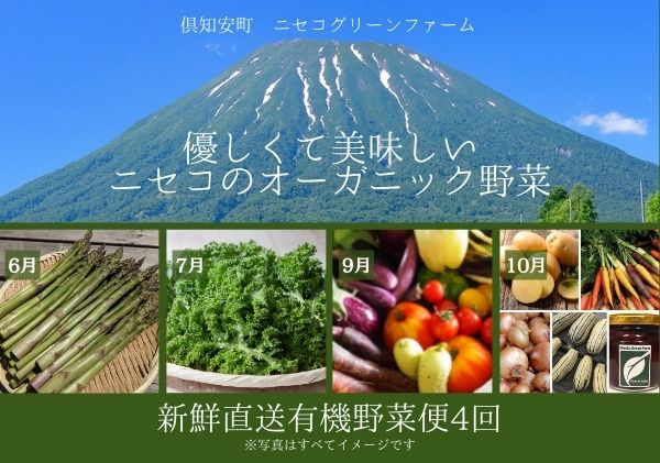 【数量限定】北海道 ニセコ 旬の有機栽培野菜セット 定期配送4回分  オーガニック 野菜詰め合わせ お取り寄せ グルメ