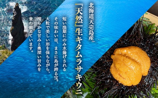 【北海道 天売島産】  天然 キタムラサキうに 塩水パック 100g×1パック