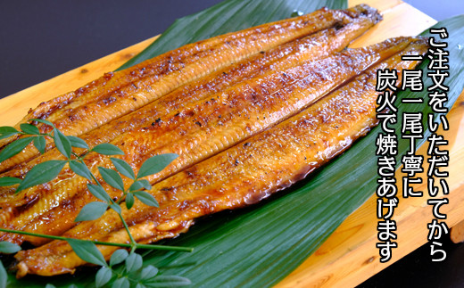 徳島県産　うなぎ蒲焼　こだわりの炭火焼　大きめ5尾（170ｇ×5尾）