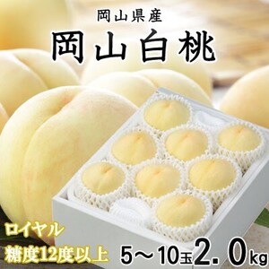 【先行受付】岡山白桃 ロイヤル 5～10玉 2kg 岡山県産【配送不可地域：離島・北海道・沖縄県】【1305708】