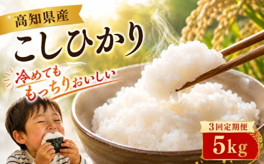 【8月～発送開始！】【令和8年産】 米 こしひかり 5kg 新米 定期便 3ヶ月 計 15kg お米 白米 精米 コシヒカリ ごはん ご飯 高知県産 弁当 おにぎり 料理 超早場米 粘り 甘み 人気 ブランド米 食味 食べ比べ 美味しい 食卓 日本の味 炊き立て 冷めても 美味しい 贈り物 ギフト 贈答用 一人暮らし 家族向け 食事 朝食 昼食 夕食 安芸市 高知県