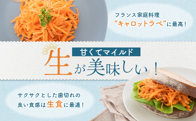 雪下にんじん 10kg 人参 にんじん ニンジン 越冬 オンライン 申請 ふるさと納税 北海道 留寿都 野菜 春 旬野菜 季節野菜 甘い フルーツ みずみずしい 産地直送 新鮮 採れたて サラダ カレ