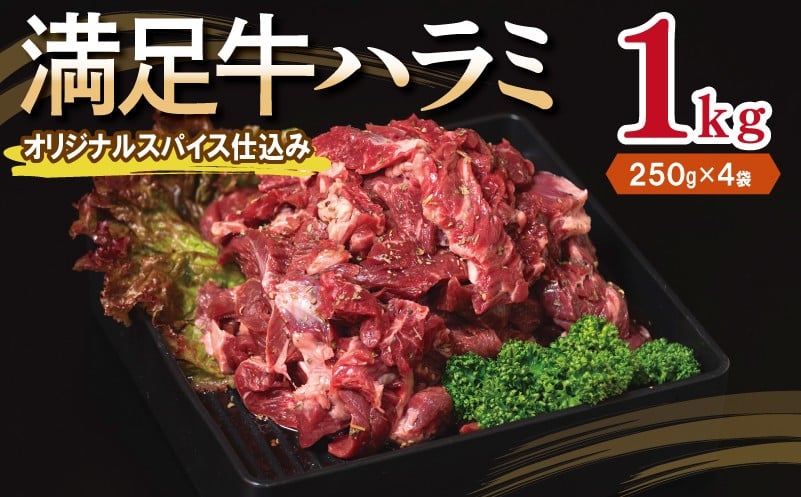
            【満足牛ハラミ】オリジナルスパイス仕込み 合計1kg 【味付け ハラミ 小分け 焼くだけ 簡単調理 BBQ 牛肉 250g×4P】
          
