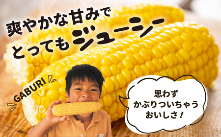 先行予約【2025年8月上旬から発送】飛騨 とうもろこし 4kg トウモロコシ 玉蜀黍 ゴールドラッシュ 夏野菜 産地直送 野菜 [Q2467_25]