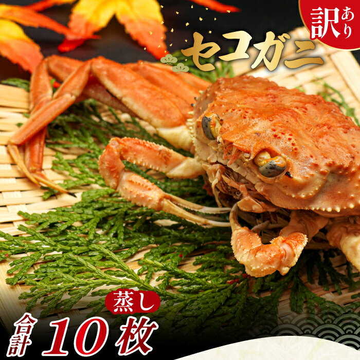 【ふるさと納税】【蒸し】訳あり足折れご自宅用 日本海産親ガニ（セコガ二）10枚 訳あり かに カニ 親ガニ セコガニ ずわいがに ズワイガニ 冷蔵 チルド ブランド 蒸し ボイル 足折れ 自宅用 国産 季節限定 お取り寄せ 鳥取県 日吉津村 日本海 TS24