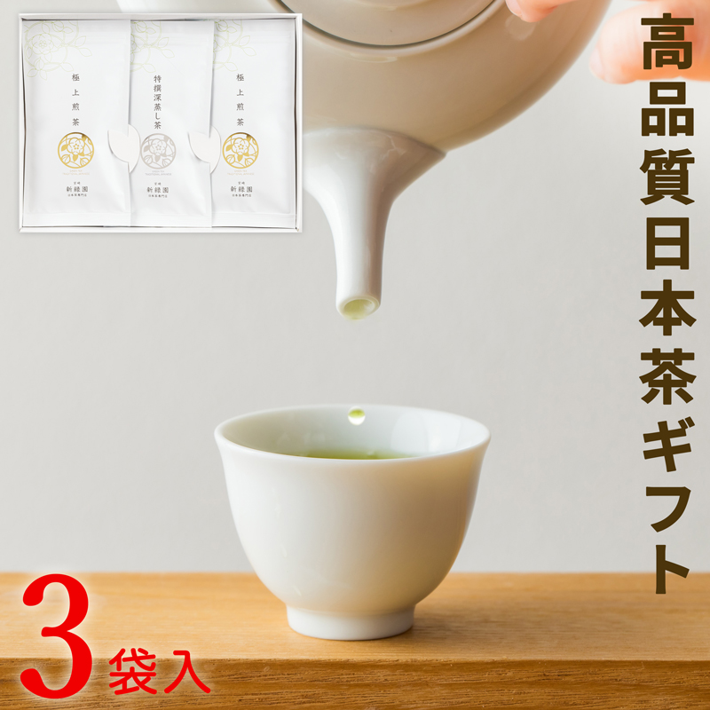 ［宮崎日本茶専門店］極上煎茶100g×2個 特撰深蒸し茶100g【C391】_イメージ1