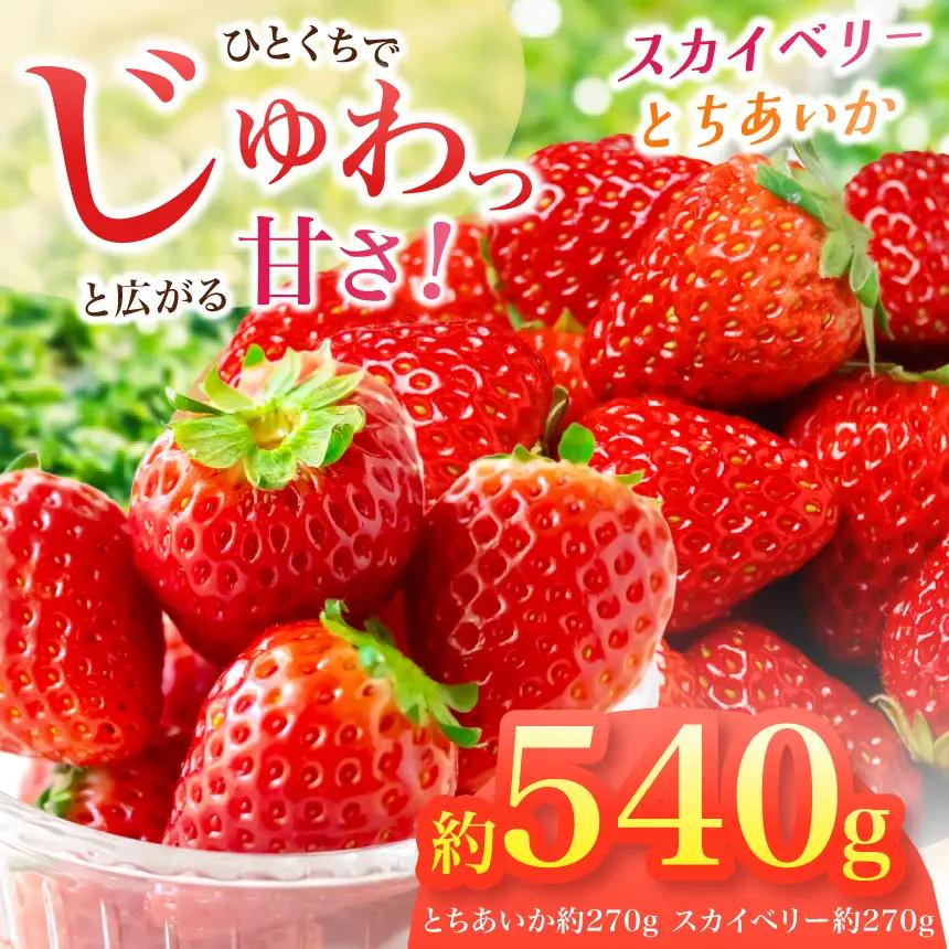 【2027年先行予約】とちあいか・スカイベリー　食べ比べ約540g　(CN)