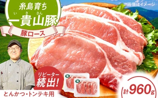 一貴山豚 ロースとんかつ・トンテキ用 計960g(120g×8枚) 糸島市 / いきさん牧場 豚肉 冷凍 [AGB031]
