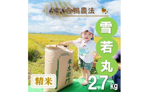 【令和7年産・精米】ecofarmすがわらの合鴨農法雪若丸27kg※10月下旬頃から順次配送