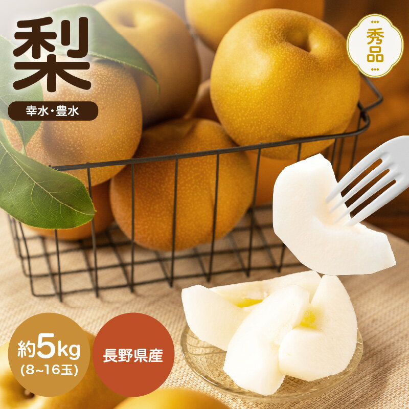 【ふるさと納税】【2026年先行予約】 南信州産 幸水 または 豊水 秀品 約5kg 8～16玉 JAみなみ信州DMセンター飯田 | 幸水 豊水 梨 なし ナシ 果物 フルーツ ジューシー 信州 南信州 送料無料 ふるさと納税 長野県 飯田市 K21