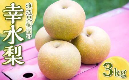 渡辺果樹園の幸水梨　約3kg＜8月中旬～9月上旬にお届け＞  F7X-0162