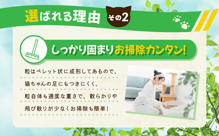 【３か月定期便】 【おから】 猫用 トイレ砂 6L 天然素材 固まる 燃やせる 流せる　猫 猫砂