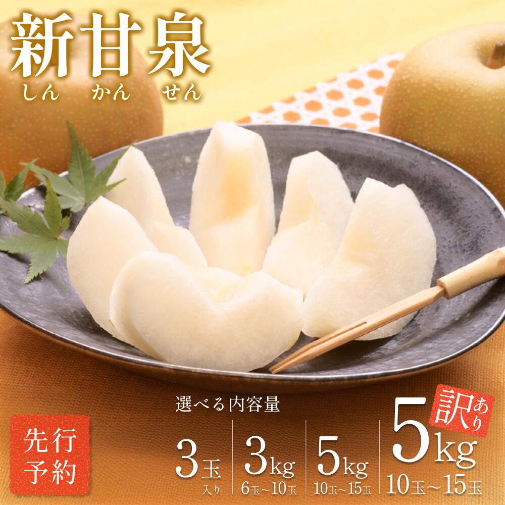 【ふるさと納税】【先行予約】中野農園 梨 ”新甘泉” 3玉、3～5kg 訳あり｜鳥取県 梨 なし ナシ 和梨 新甘泉 果物 くだもの フルーツ 2025収穫 選べる内容量 3kg 5kg 訳アリ 数量限定