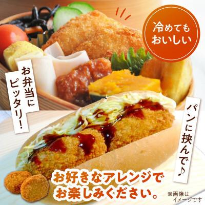 ふるさと納税 延岡市 【便利な個包装】宮崎牛メンチカツ 70g×10個 |  | 03