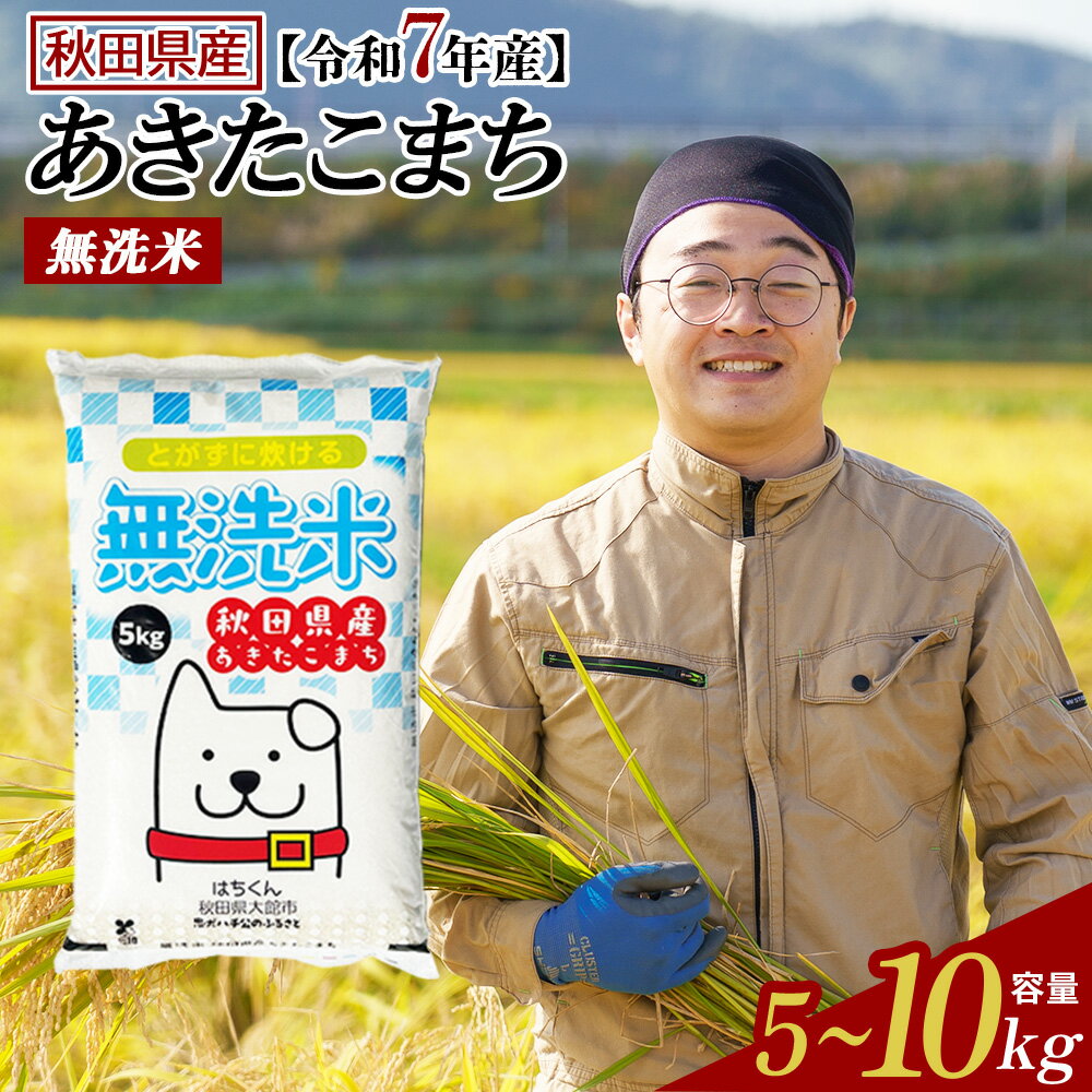 【ふるさと納税】【令和7年産】【選べる容量・お届け回数】秋田県産「あきたこまち」無洗米or普通米 5kg・10kg(5kg×2袋) 1・3回 【2025年産 白米 精米 国産 旨み 香り 栄養 のし対応可能 おにぎり お弁当 真正ファーム 送料無料】