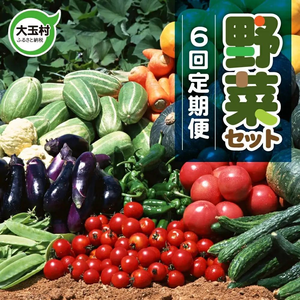 野菜セット 10種類前後【先行予約】 野菜
