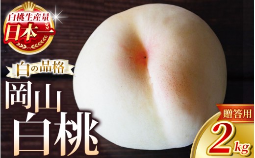 【2027年発送開始】桃 岡山白桃 約2kg 贈答用 花田青果 フルーツ王国の桃 品種お任せの桃 桃 フルーツ 果物 もも モモ momo 白鳳 清水白桃 川中島白桃 先行予約 クール便【hnds001-01】