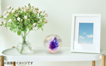 プリザーブドフラワー　ガラスドーム (紫) / 花 プレゼント 贈答用 ガラス 母の日 父の日 入学式 卒業式 菊陽町 熊本県【株式会社 美向】[BHDC005]