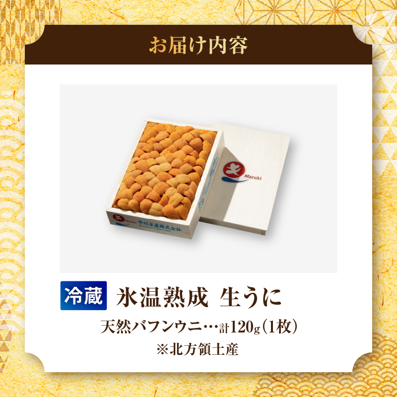≪氷温熟成≫生折うに(天然バフンウニ)　120g×1枚_H0009-101