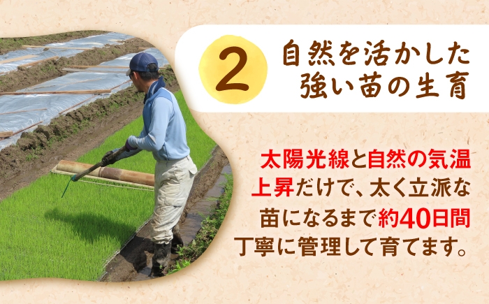 きぬむすめ 米 kome 島根 無農薬 有機JAS