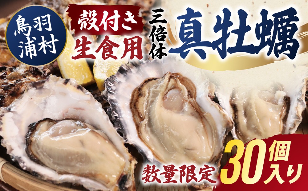 
                  【期間限定 】【10月15日まで受付】33-04 濃厚な甘みとコク！生食用 三倍体牡蠣 30個入り 生牡蠣 冷蔵 浦村牡蠣
                