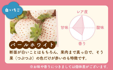 【先行予約】【3回定期便】食べ比べ！いちごさん＆パールホワイト定期便 各220g/回 / イチゴ 苺 ブランド果物 フルーツ 佐賀県産 白石町産 九州 [IBG013]