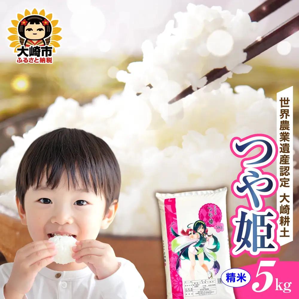《精米》令和7年 宮城県産 つや姫 5kg | ot004-th-5kg-r704