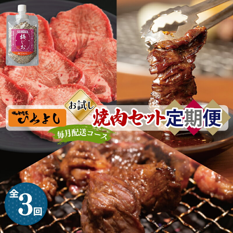 【ふるさと納税】焼肉専門店 厳選 人気 焼肉 セット 定期便 全3回【毎月配送コース】自家製タレ漬け 中落カルビ ハラミ 250×4 厚切り 柔らか 味付け 牛タン 500g 梅塩付き お試し おうち焼肉 BBQ お取り寄せグルメ 大阪府 泉佐野市 送料無料 肉の泉佐野
