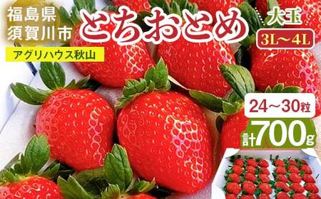 ＜アグリハウス秋山＞ とちおとめ デラックス3L～4L 大玉 24～30粒 F7X-0214