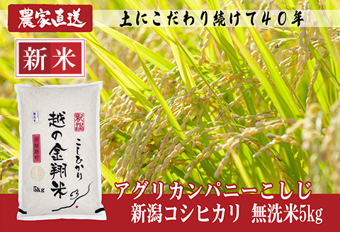 J8-7MN101【越の金翔米】新潟県長岡産コシヒカリ無洗米10kg（特別栽培米）