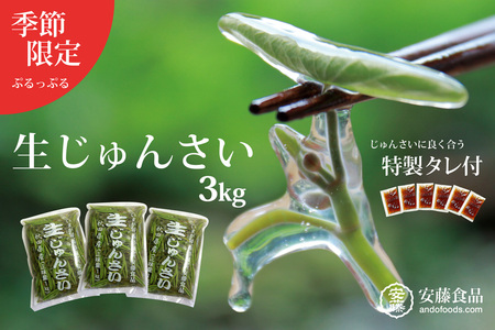 生じゅんさい3kg ゆずタレ6個 《冷蔵》（2026年5月上旬頃～7月下旬までに発送予定） 令和8年産 2026年産 先行受付  秋田県産 三種町産